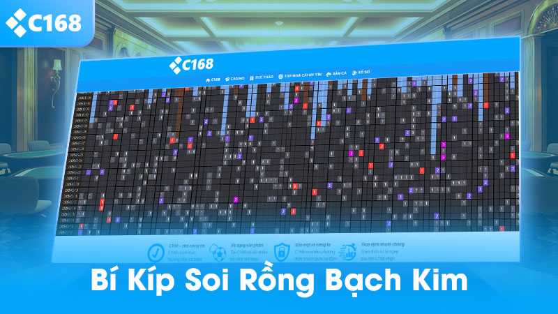 Bí kíp soi cầu rộng bạch kim