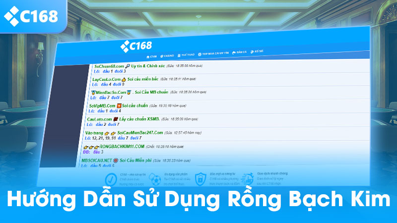 Hướng dẫn sử dụng rồng bạch kim