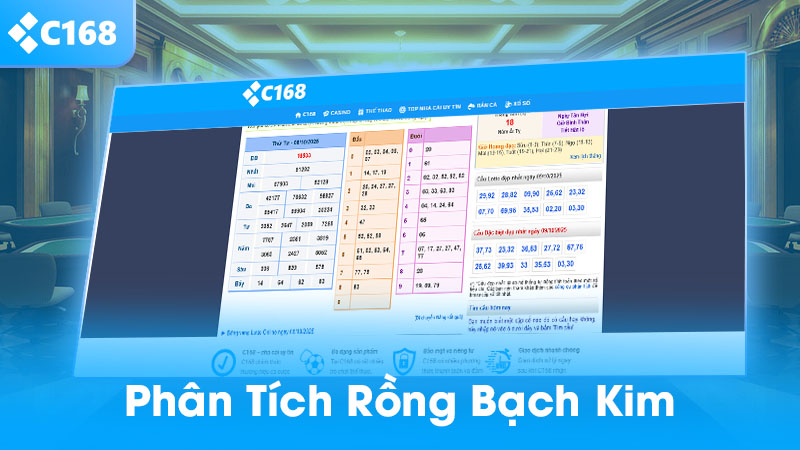 Phân tích rồng bạch kim